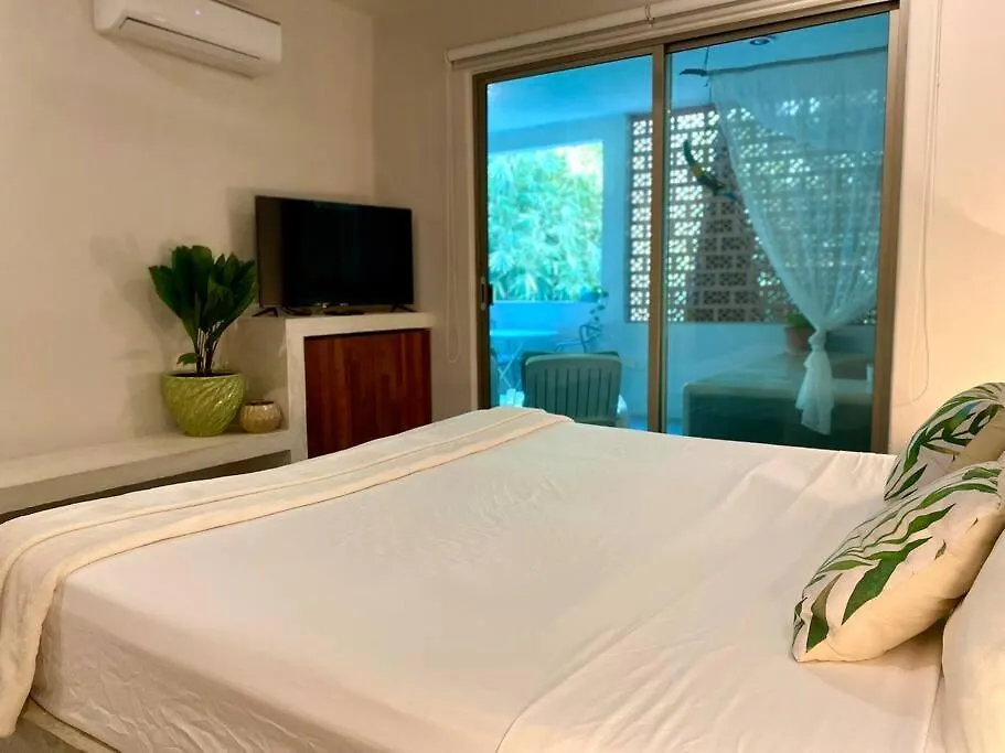 Huge Jungle Condo1 Block To 5Th, Clubs & Beach Playa del Carmen